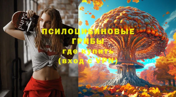 гидра Зерноград